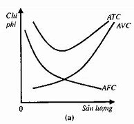 Atc Là Gì Trong Kinh Tế Vi Mô Công Thức