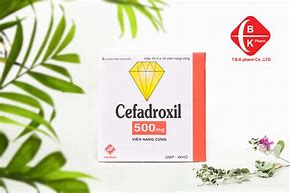 Cefadroxil 500Mg Là Thuốc Gì