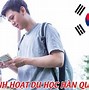 Chi Phí Đi Du Học Hàn Quốc Vừa Học Vừa Làm Là Gì 2024