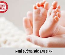 Hưởng Dưỡng Sức Sau Sinh Cần Giấy Tờ Gì