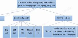 Ngành Nông Lâm Nghiệp Thủy Sản Có Vai Trò