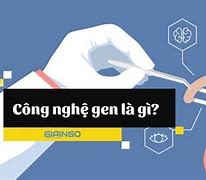 Quá Trình Công Nghệ Gen