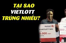 Tracodi Alibaba Có Lừa Đảo Không Voz Ạ Video Tiktok