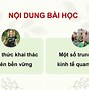 Trình Bày Phương Thức Khai Thác Bền Vững Tài Nguyên Rừng Ở Bắc Mỹ