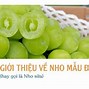 Vị Nho Mẫu Đơn